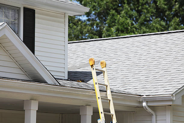 Best Hoarding Cleanup  in Bainbridge, PA